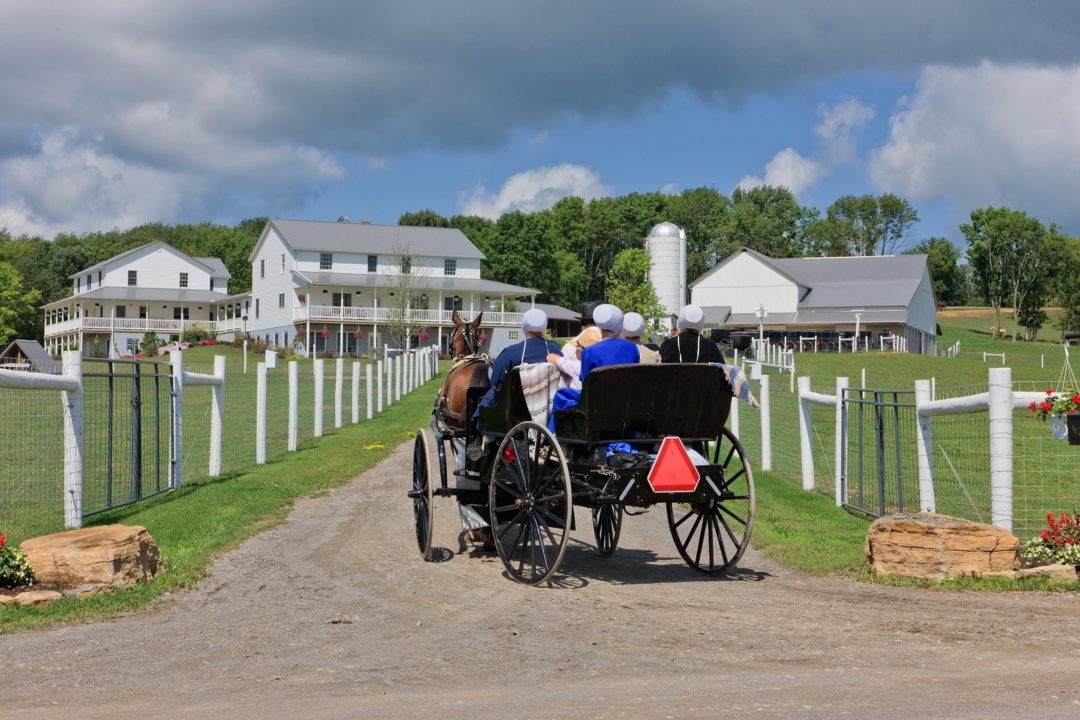 walnutcreekfarm1 Crandall Medical Center